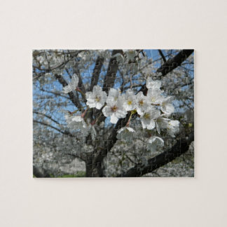 Quebra-cabeça Primavera Cherry Blossoms