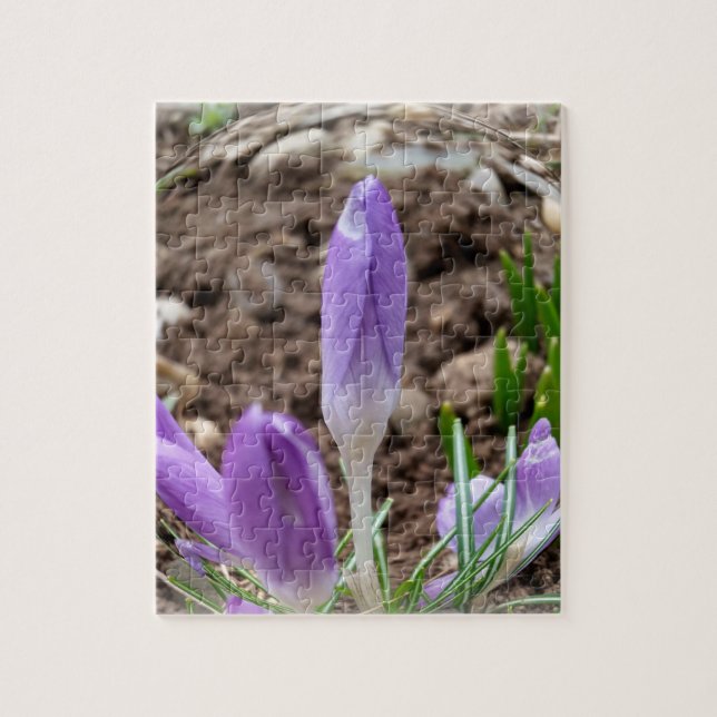Quebra-cabeça Primavera crocodilo (Vertical)
