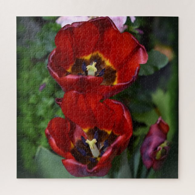 Quebra-cabeça Primavera despertar, Tulipas (Vertical)