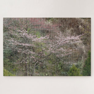 Quebra-cabeça Primavera em Kiyomizu-Dera Kyoto Japão em um