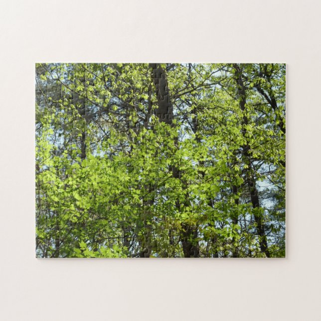 Quebra-cabeça Primavera Maple Deixa a natureza (Horizontal)
