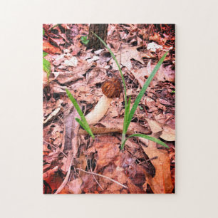 Quebra-cabeça Primavera Morel