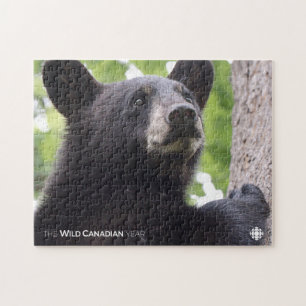 Quebra-cabeça Primavera - Urso Preto