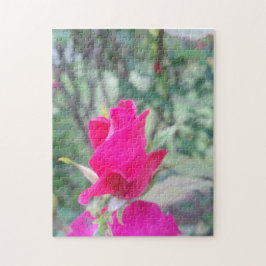 Quebra-cabeça primo