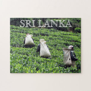 Quebra-cabeça produtores de chá sri lanka