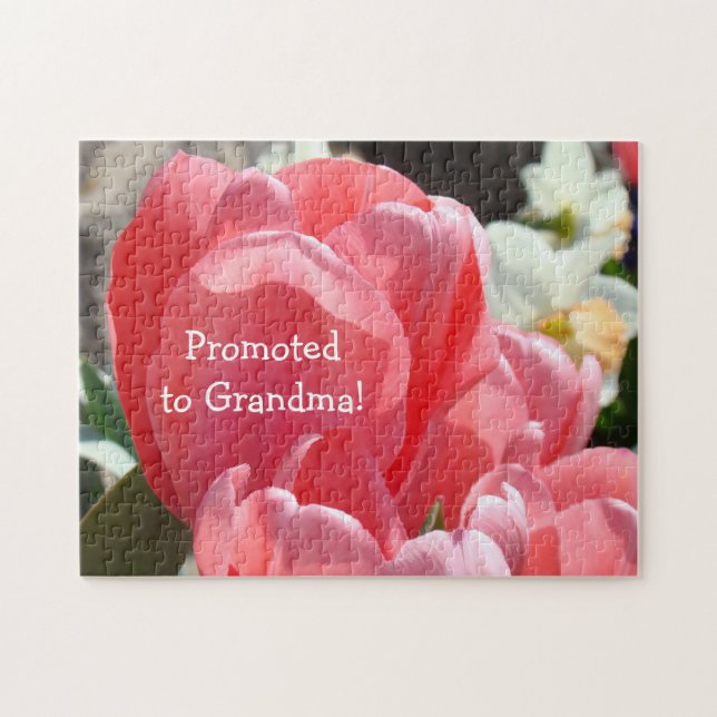 Quebra-cabeça Promovido à avó confunde o anúncio da gravidez (Horizontal)