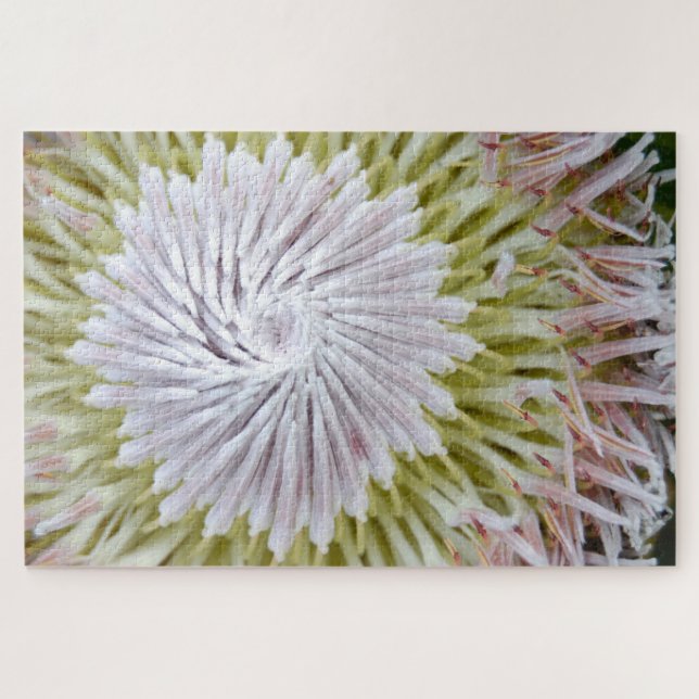 Quebra-cabeça Protea cynaroides Protea-Rei. (Horizontal)