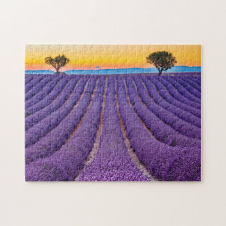 Quebra-cabeça Provença, França. Planalto de Valensole.