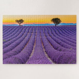 Quebra-cabeça Provença, França.Plateau de Valensole.