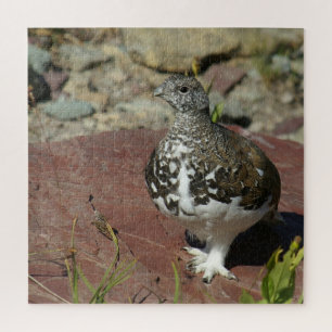 Quebra-cabeça Ptarmigan de cauda branca - 676 peças