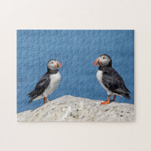 Quebra-cabeça Puffin Atlântico em Machias, Maine