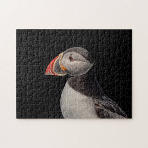 Quebra-cabeça Puffin Atlântico em Machias, Maine