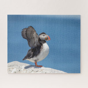 Quebra-cabeça Puffin Atlântico em Machias, ME