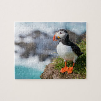 Quebra-cabeça Puffin Fratercula Arctica
