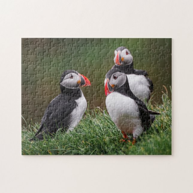 Quebra-cabeça Puffin Trio (Horizontal)