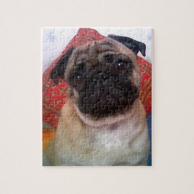 Quebra-cabeça pug 4.png (Vertical)