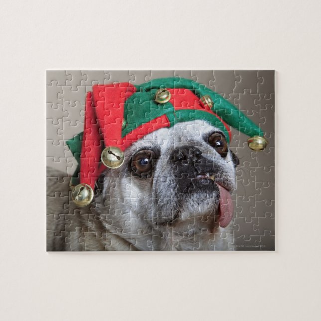 Quebra-cabeça Pug de vista engraçado com a língua que pendura (Horizontal)