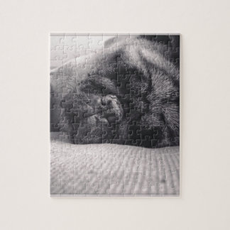 Quebra-cabeça Pug do sono