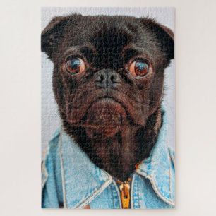 Quebra-cabeça Pug in Denim Jackey Cachorro Adorável