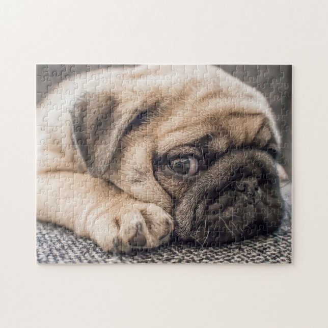 Quebra-cabeça Pug Sonolento (Horizontal)