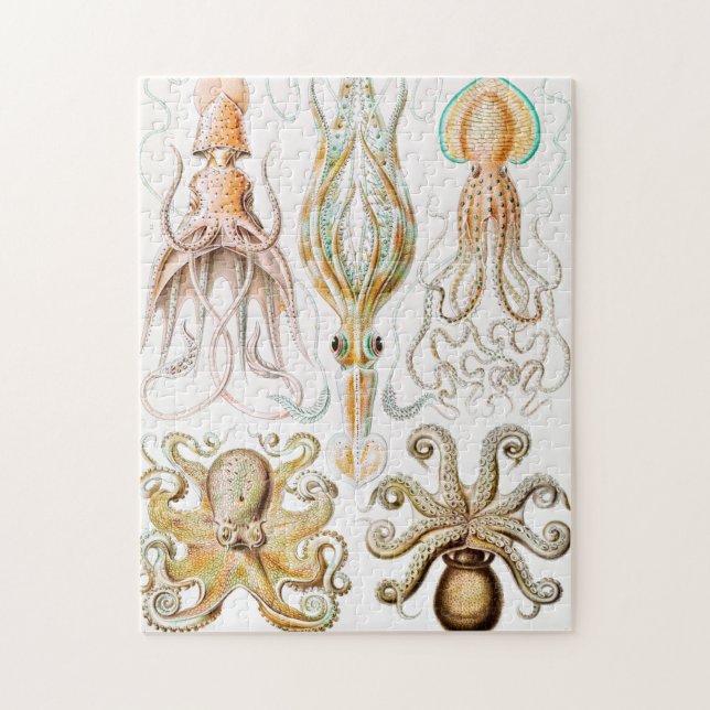 Quebra-cabeça Pula de Octopus, Gamochonia por Ernst Haeckel (Vertical)
