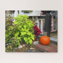 Pumpkin e Coleus - Martha's Vineyard