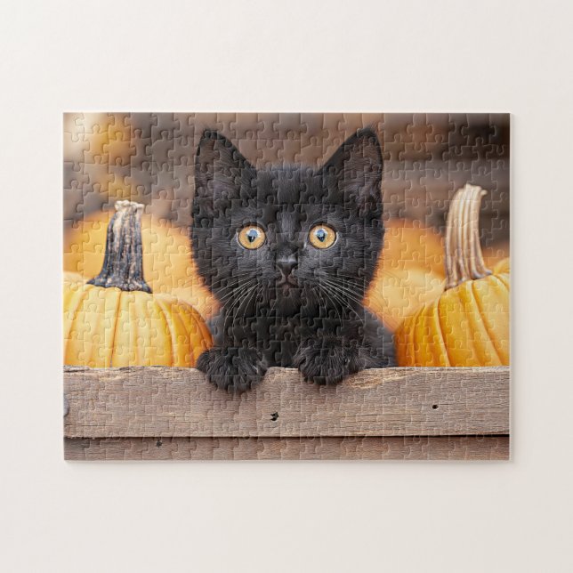Quebra-cabeça Pumpkin Patch Kitten (Horizontal)