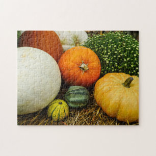 Quebra-cabeça Pumpkins E Gourd