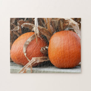 Quebra-cabeça Pumpkins Pumpkins Secos Pestais de Milho Outono