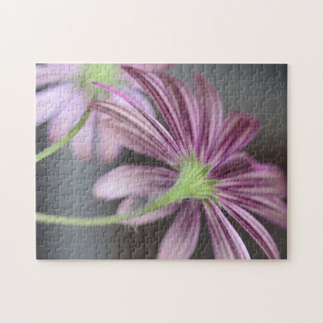 Quebra-cabeça Purple Daisy Flower - Nature Photography (Horizontal)