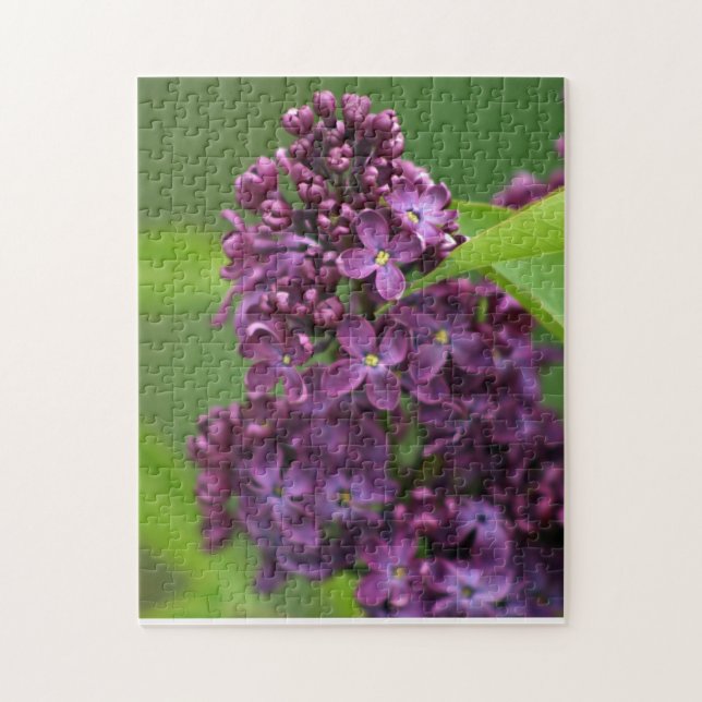Quebra-cabeça Purple Lilac Puzzle (Vertical)