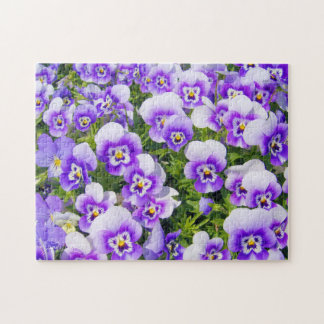 Quebra-cabeça Purple Pansies