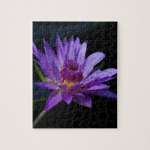 Quebra-cabeça Purple Waterlily Lotus