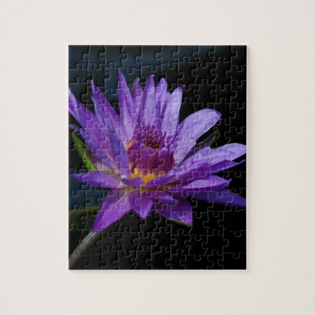 Quebra-cabeça Purple Waterlily Lotus (Vertical)