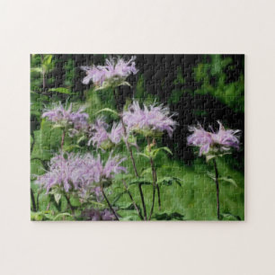 Quebra-cabeça Púrpura Flores De Abelhas Fotografias