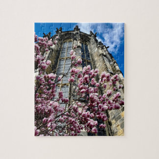 Quebra-cabeça Puzzle Aachen Dom Magnolie
