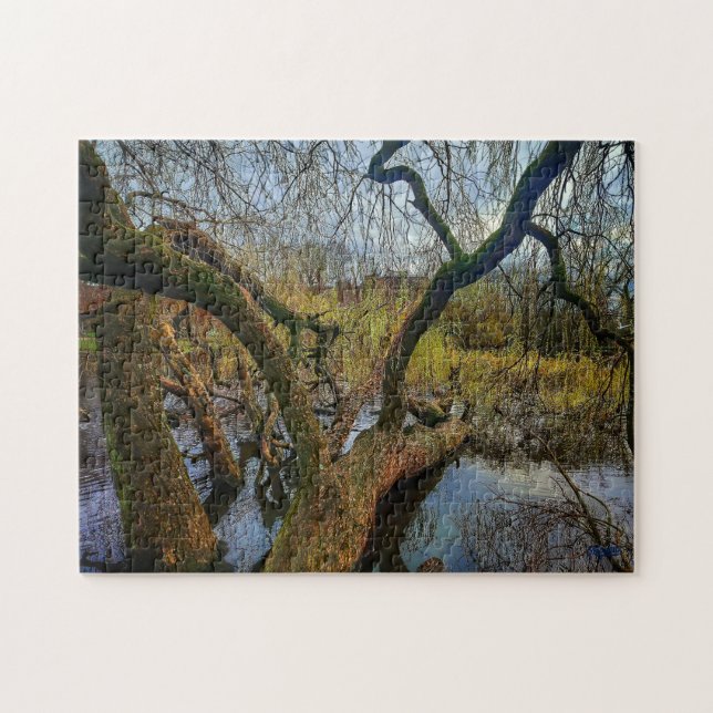 Quebra-cabeça Puzzle “Árboles del agua – Parque en Ámsterdam” (Horizontal)