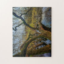 Puzzle “Árboles del agua – Parque en Ámsterdam”