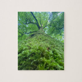 Quebra-cabeça Puzzle Baum Moos
