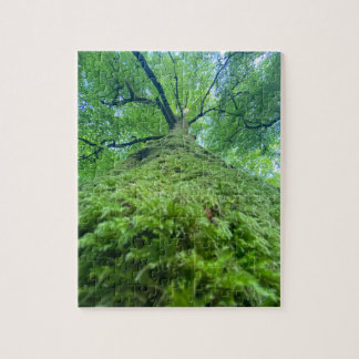 Quebra-cabeça Puzzle Baum Moos
