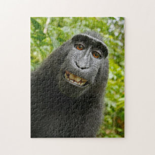 Quebra-cabeça Puzzle de macaco