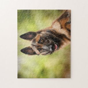 Quebra-cabeça Puzzle Malinois