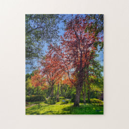 Quebra-cabeça Puzzle “Rincón de luz – Einbeck en primavera”