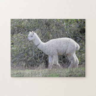Quebra-cabeça Puzzle - White Alpaca