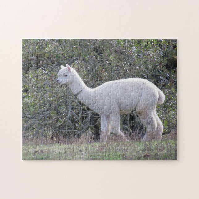 Quebra-cabeça Puzzle - White Alpaca (Horizontal)