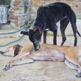 Quebra-cabeça quadro cênico de dois cães grayhound muito fofos