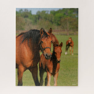 Quebra-cabeça Quarter Horse Mare e Foto em Pé