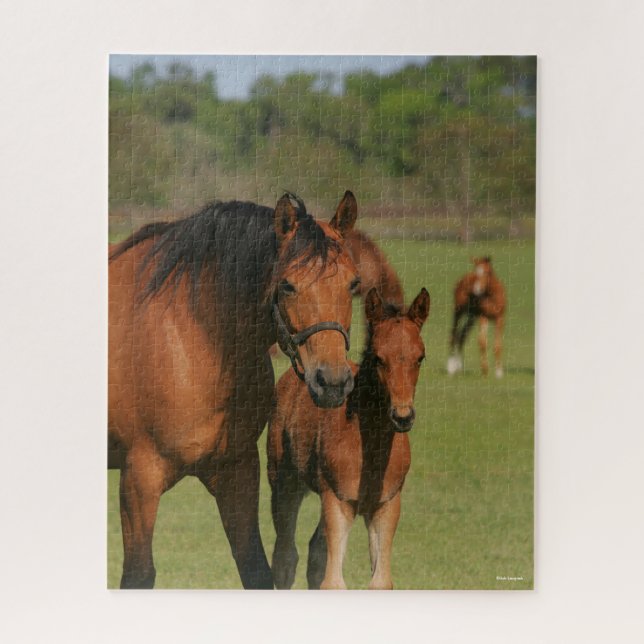 Quebra-cabeça Quarter Horse Mare e Foto em Permanente (Vertical)