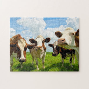 Quebra-cabeça Quatro vacas de conversa