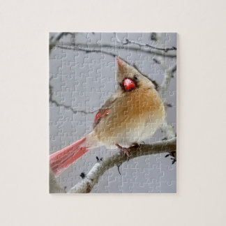 Quebra-cabeça quebra-cabeça_Fêmea_Cardinal
